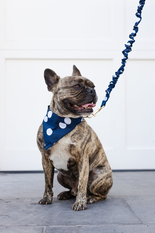 Crafted with Love: Premium Hardware, Fabrics, and Patterns for the Perfect Dogs