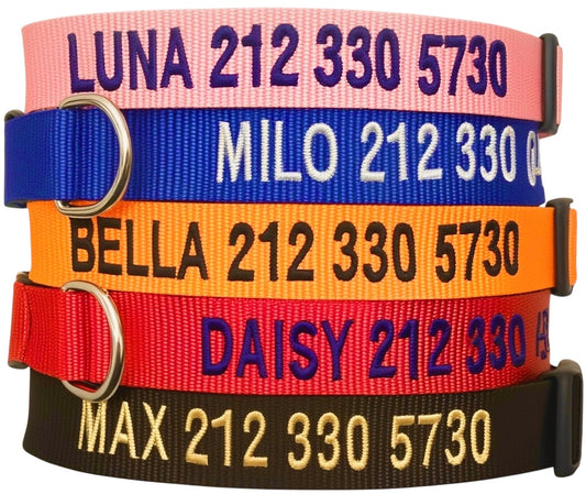 Personalized Dog Collar, Custom Embroidered with Pet Name and Phone Number in Blue, Black, Pink, Red & Orange, for Dogs or Cats, Adjustable Sizes, Small, Medium & Large