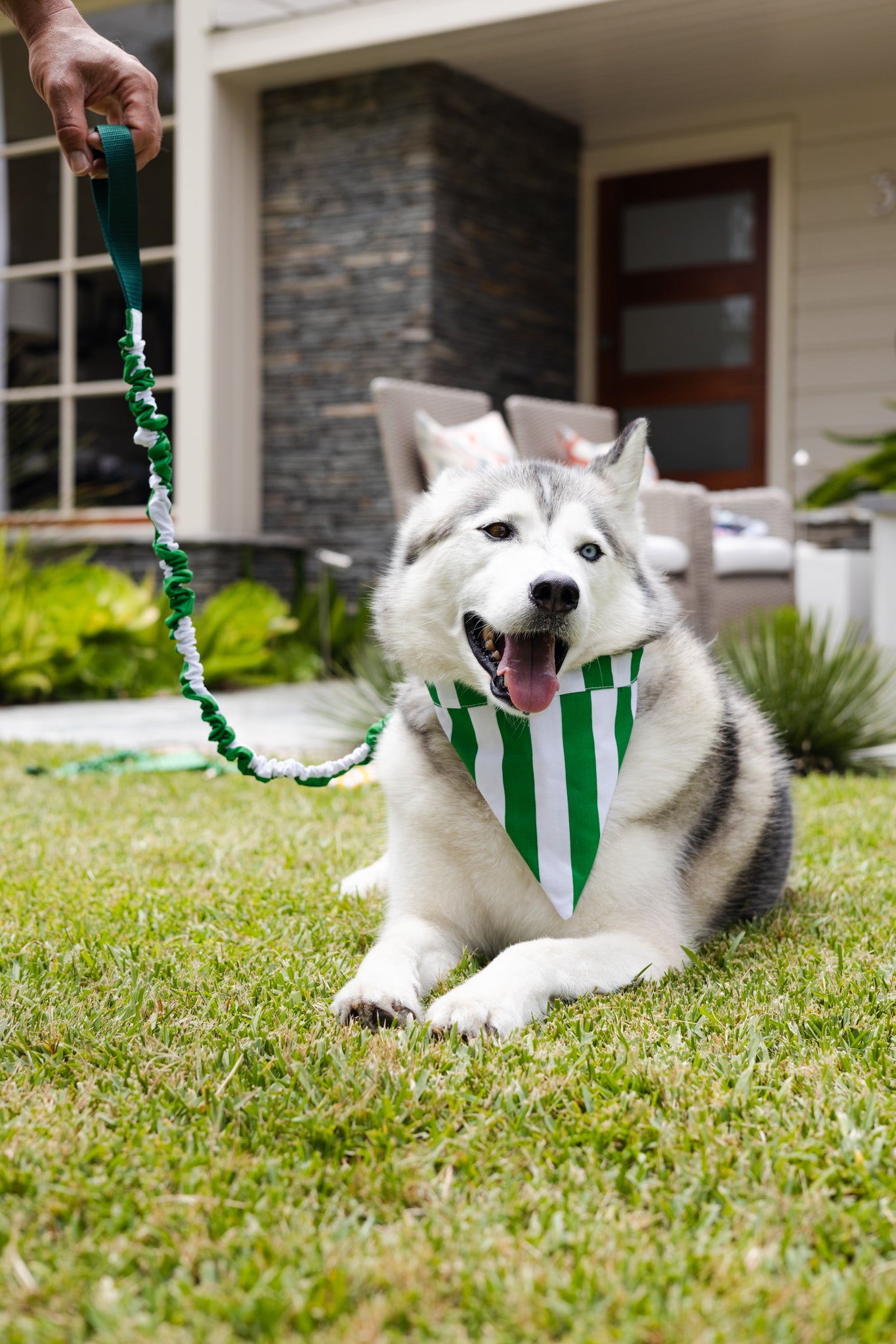 Green and White Stripe No Tangle Dog Collar and Bandana In-One