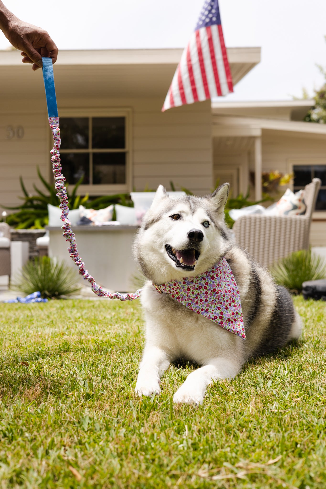 Flower Print No Tangle Dog Leash