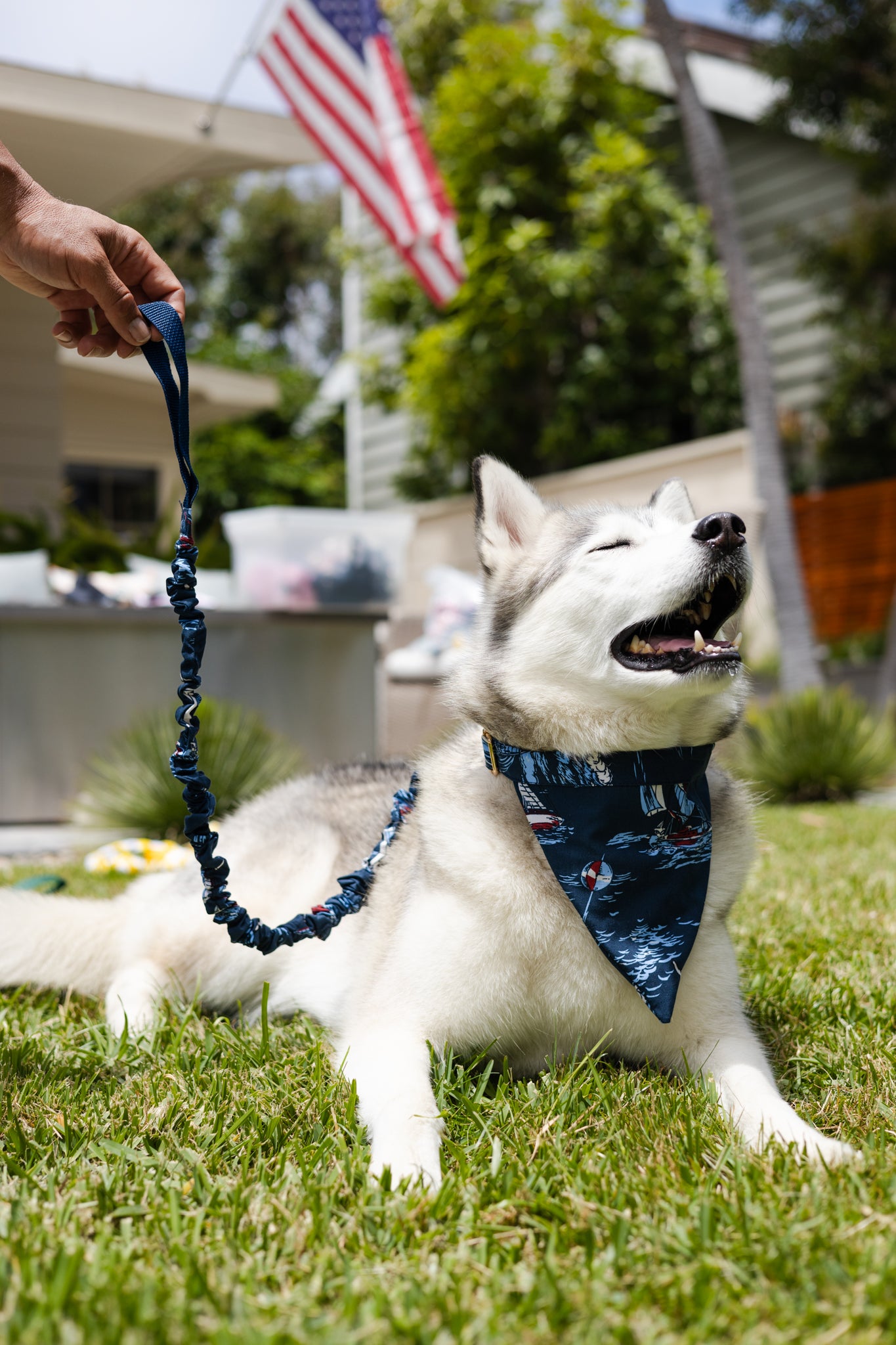 Nautical Print No Tangle Dog Leash