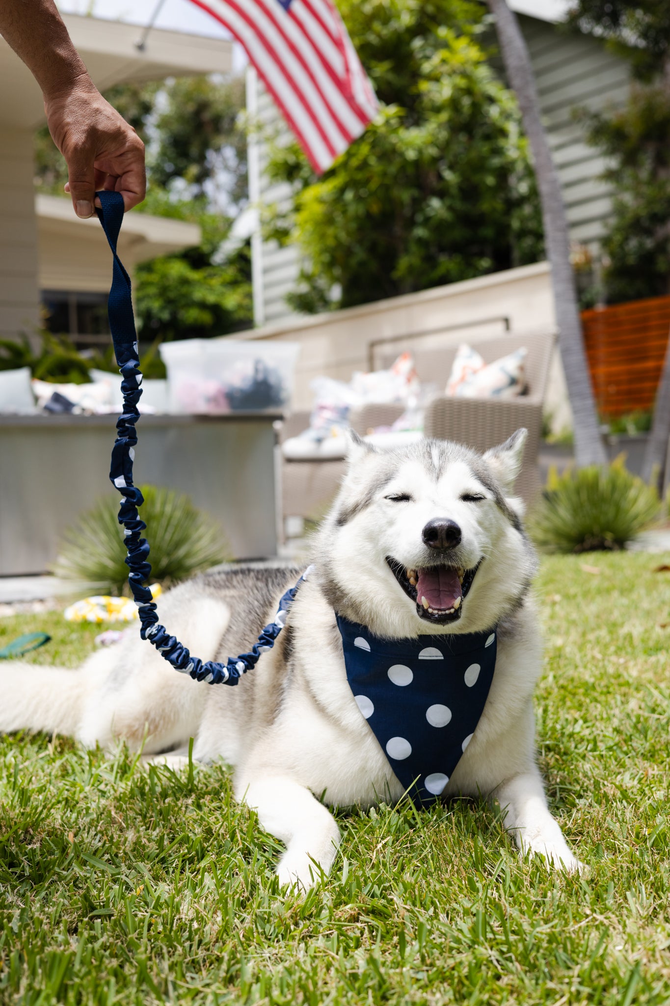 Navy White Polkadot Tangle Free Dog Collar & Leash Set