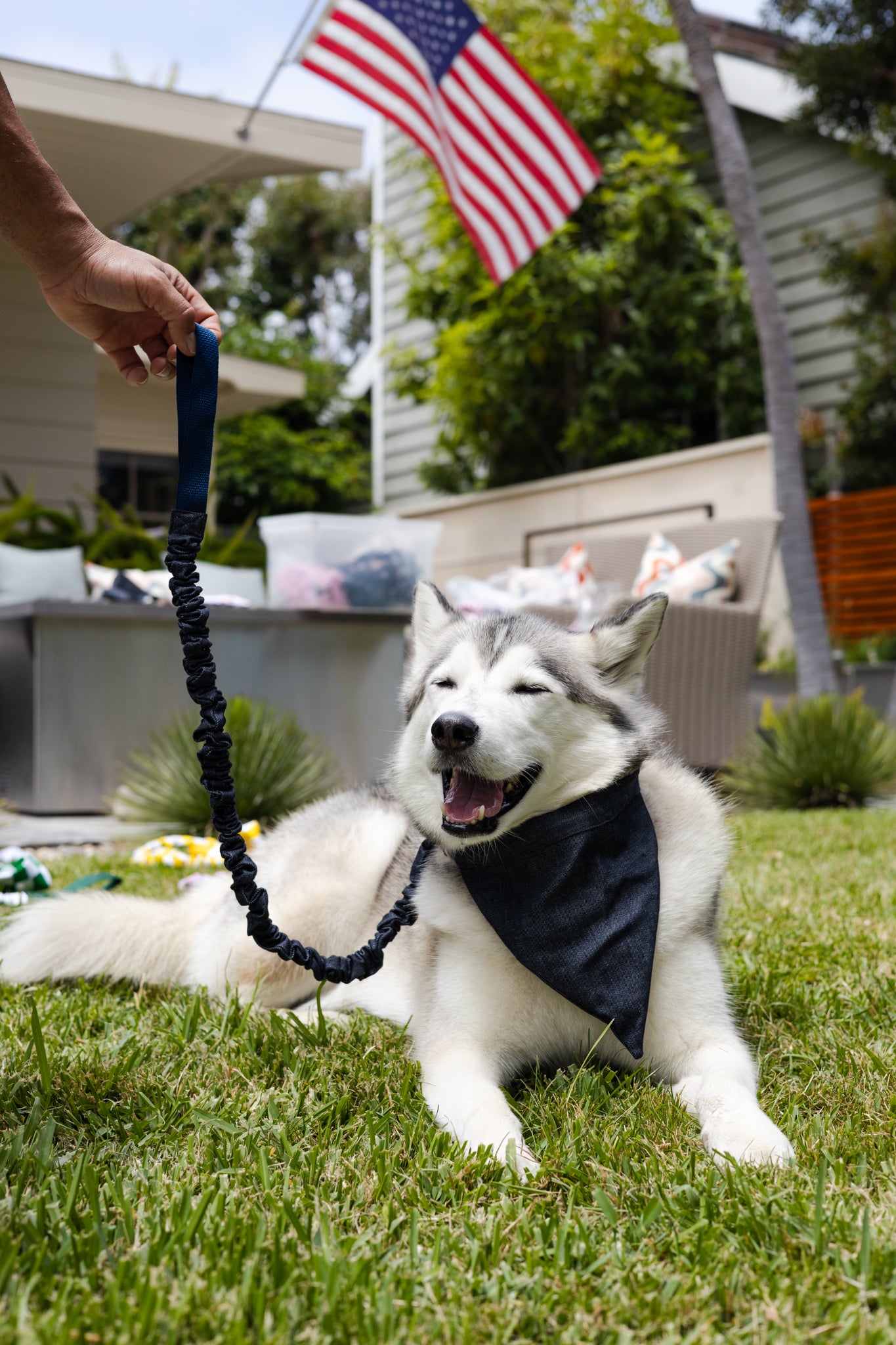 Denim No Tangle Dog Leash