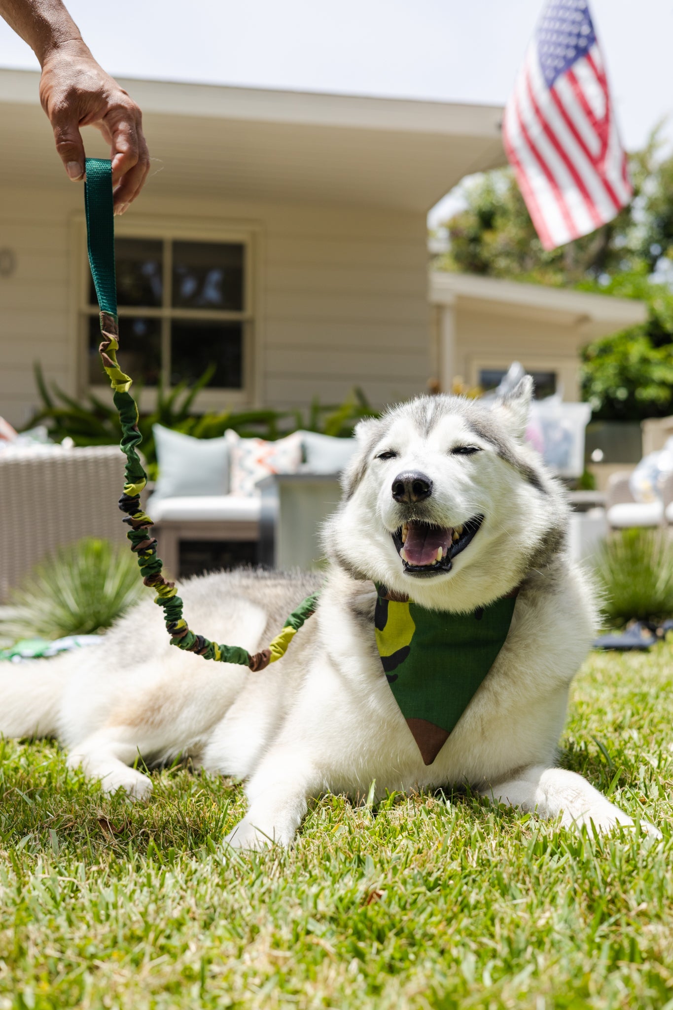 Camo Tangle Free Dog Collar & Leash Set