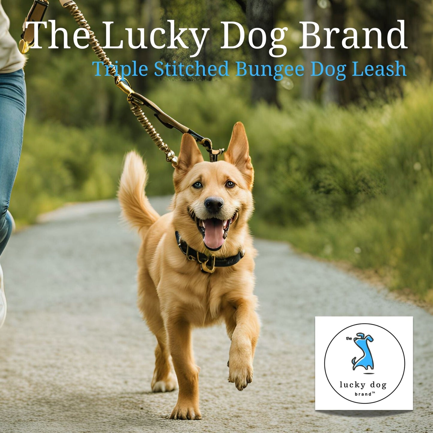 The Lucky Dog Brand Heavy-Duty, Shock Absorbing Triple Bungee Dog Leash, 5 FT for Small Medium and Large Dogs, Triple Stitched Khaki