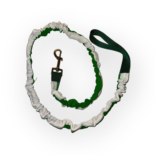 Green and White Stripe No Tangle Dog Leash