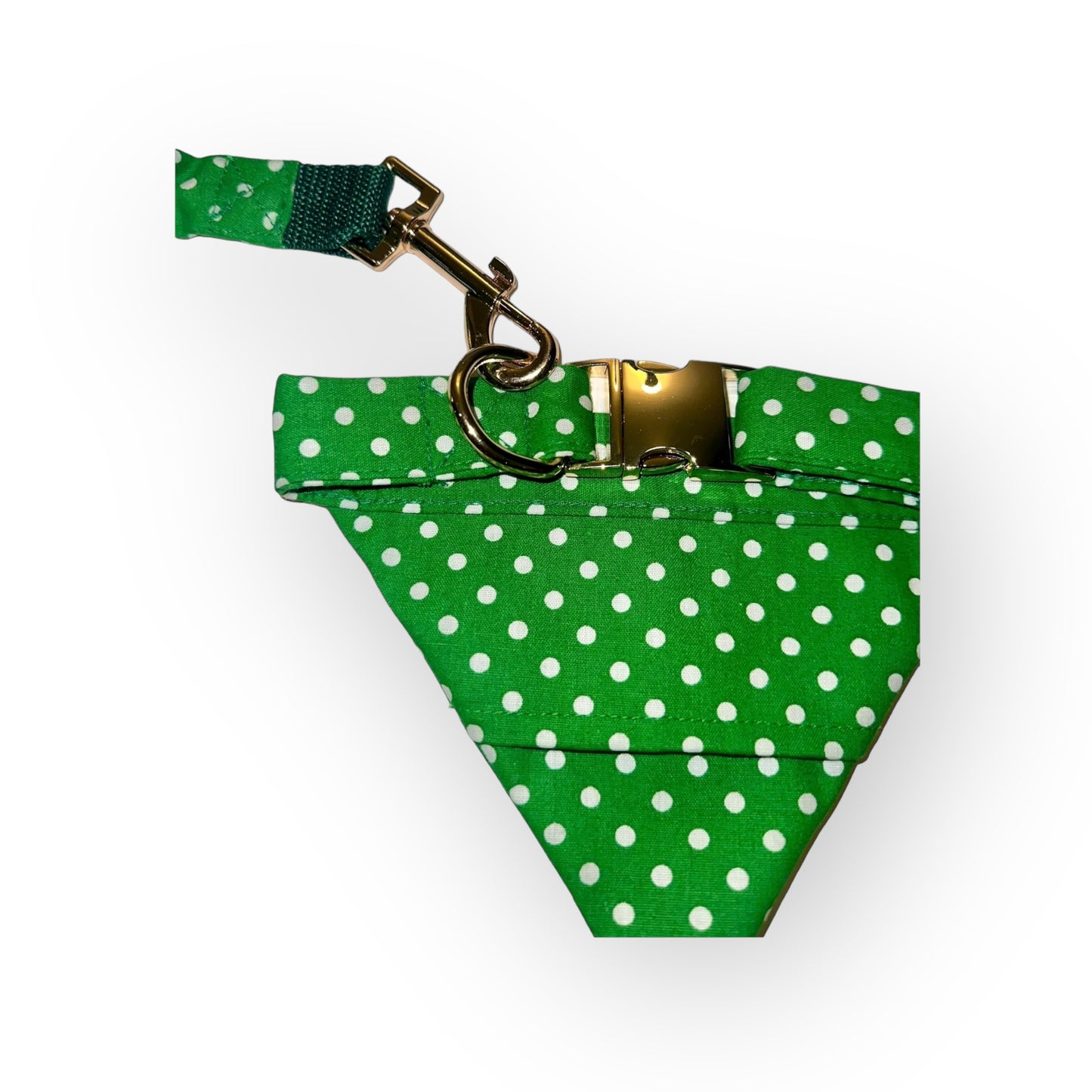 Green and White Polkadot Tangle Free Dog Collar & Leash Set