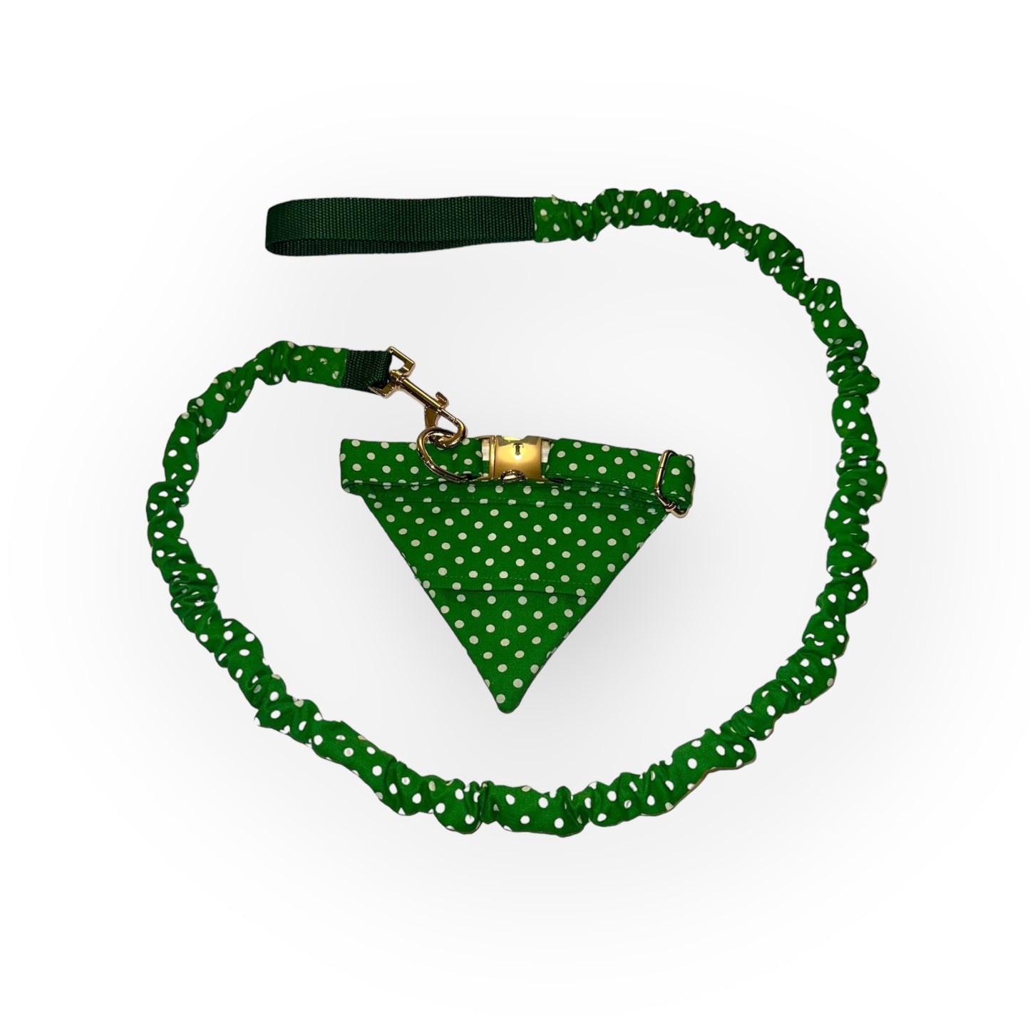 Green and White Polkadot Tangle Free Dog Collar & Leash Set