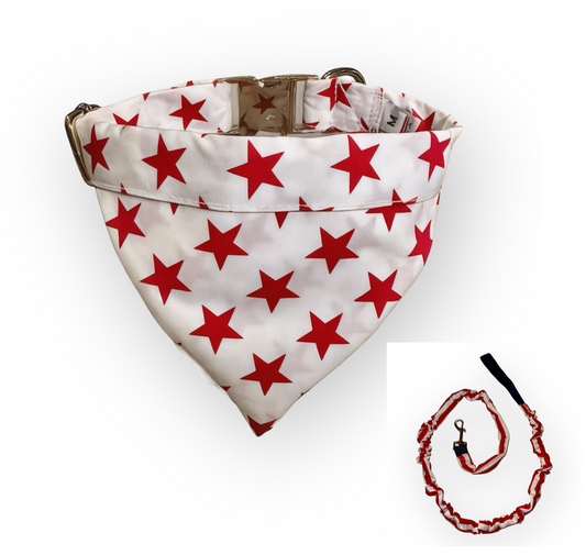 Red and White Stars and Stripes Tangle Free Dog Collar & Leash Set