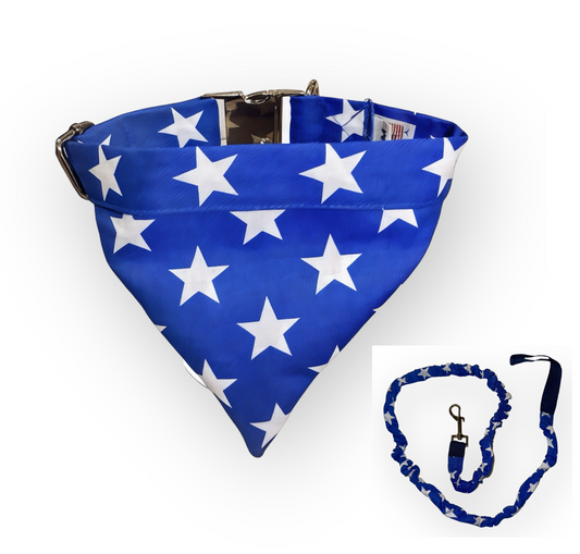 Blue and White Stars Tangle Free Dog Collar & Leash Set