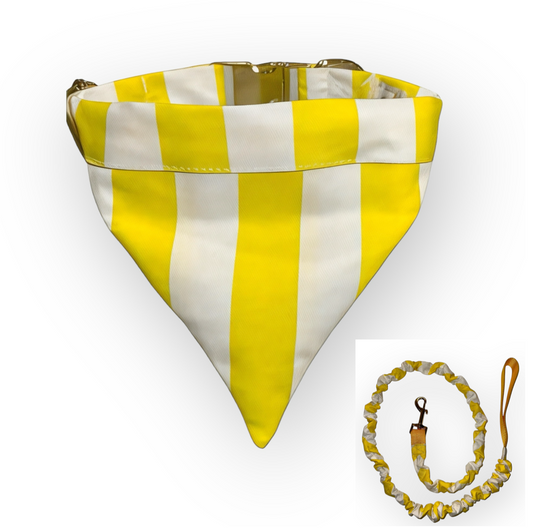 Yellow and White Stripe Tangle Free Dog Collar & Leash Set